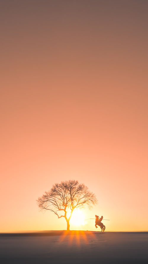 德甲青训项目中融合认知行为评估模型识别情绪易波动球员